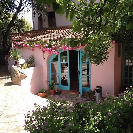 Hotel Scintilla San Teodoro  Esterno foto